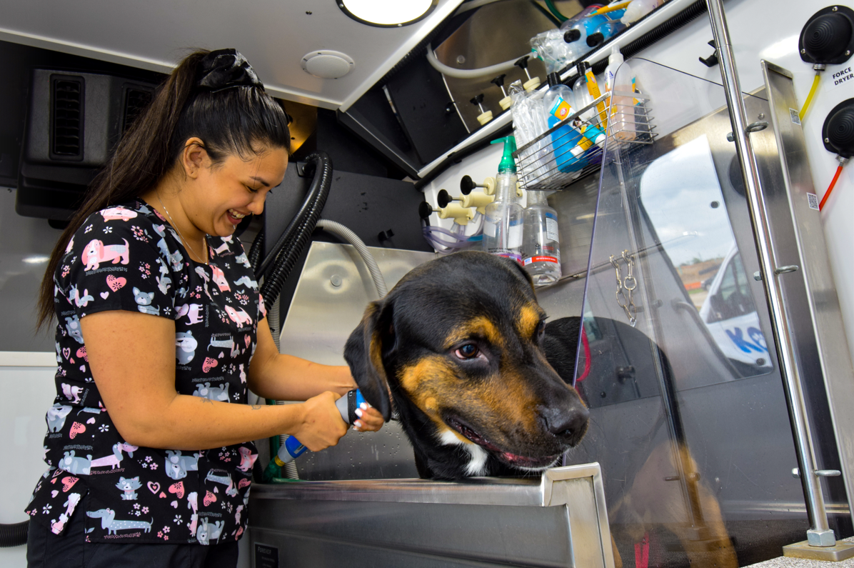 Kontota mobile dog grooming