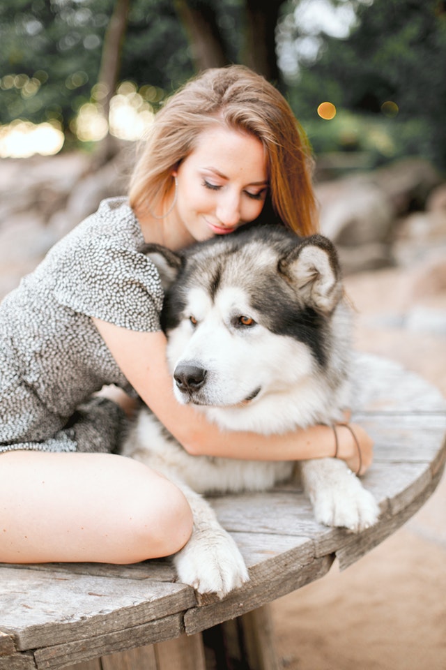 How to trim a dogs nails image