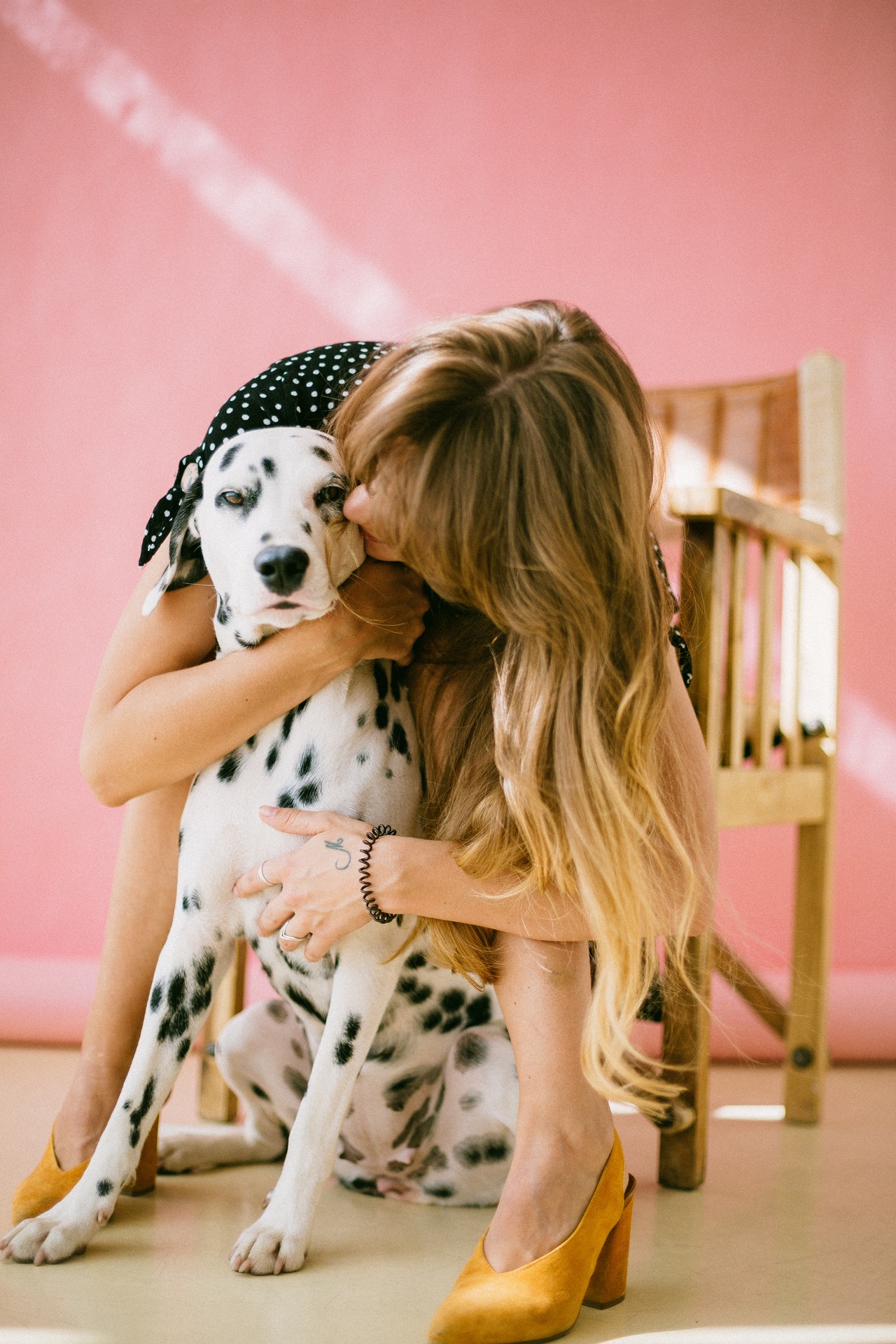 woman-hugging-dalmatian-dog-2053921