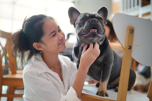 Mobile dog grooming
