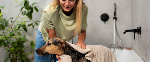 How to Wash a Short-Haired Dog 
