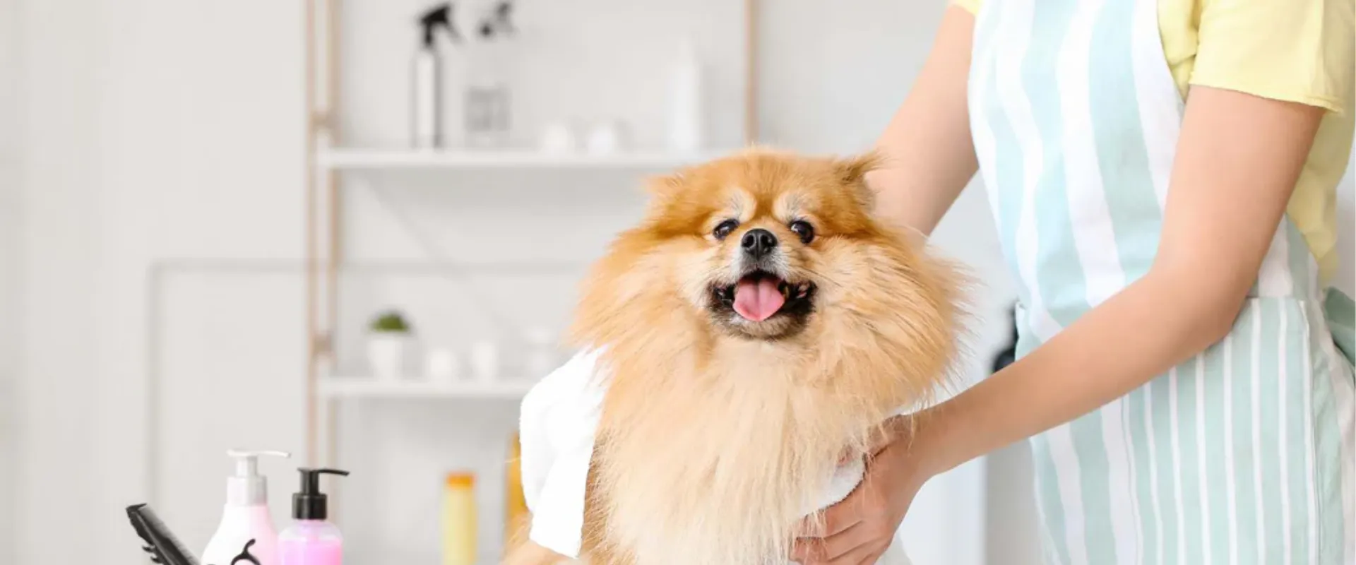 best pet wipes