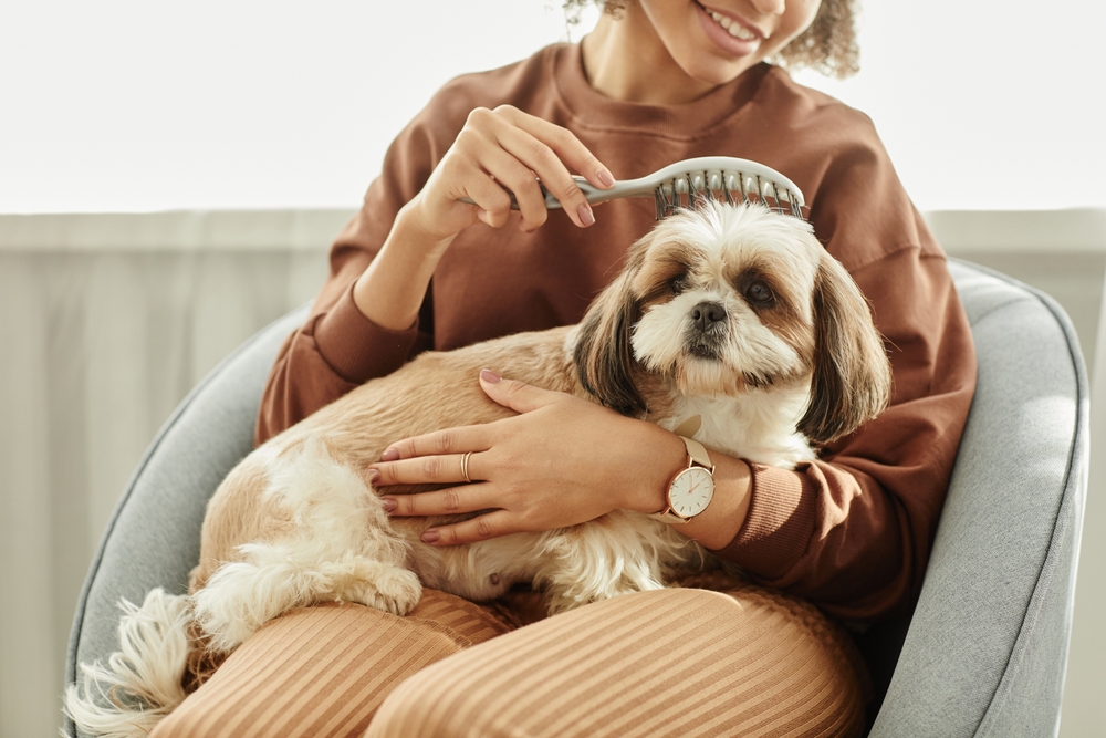 post-grooming tips