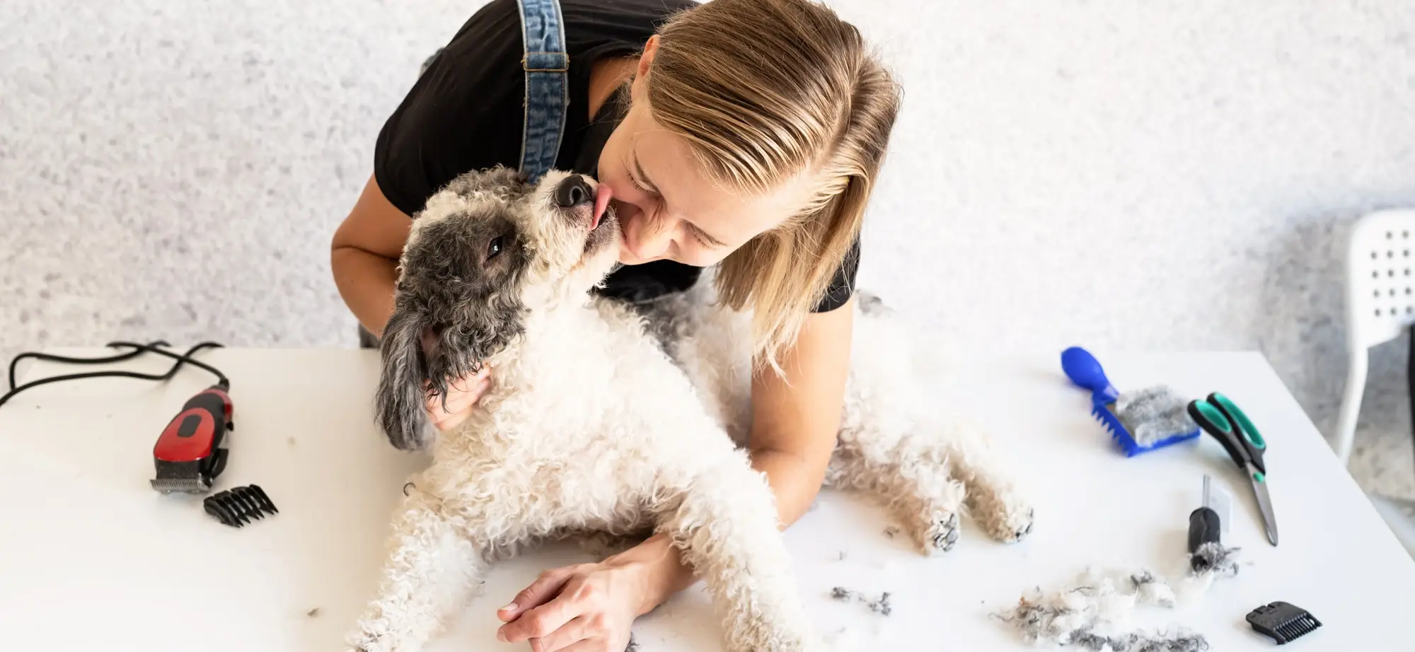 Treat Razor Burn on Dogs