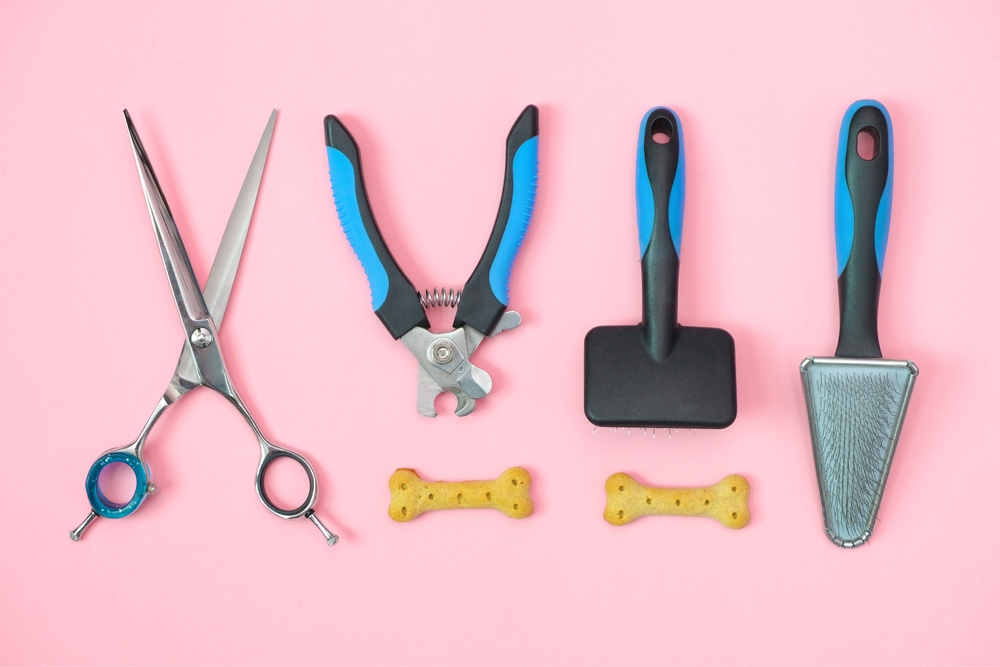 grooming tools for dogs