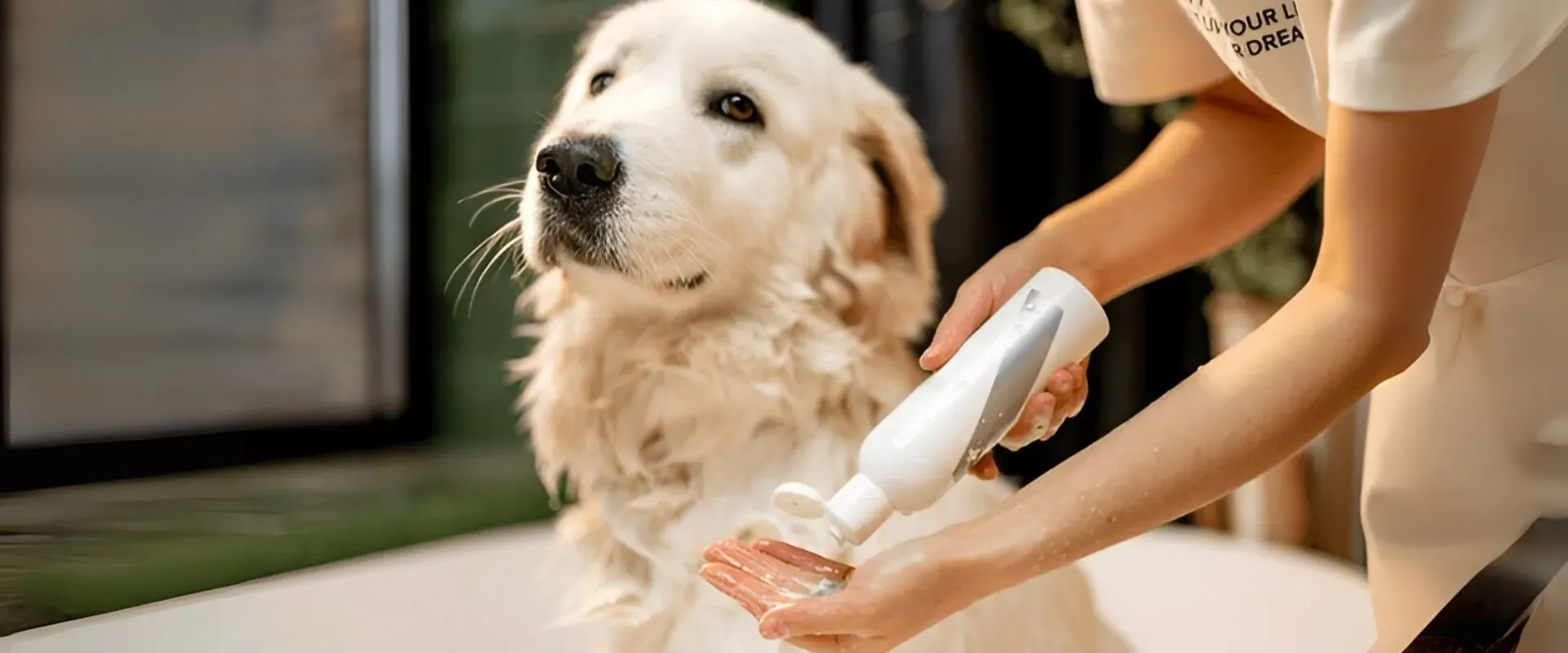 gentle pet shampoos