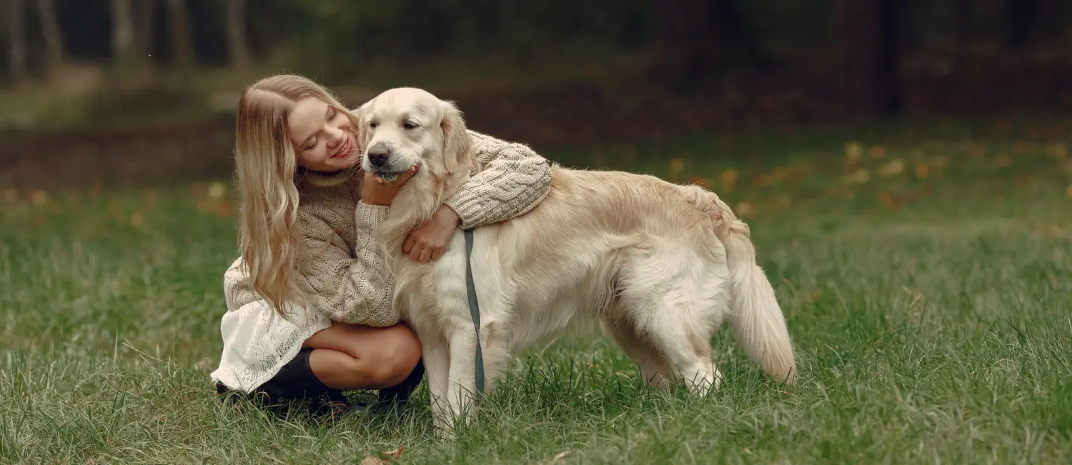 Golden Retriever Families with Children