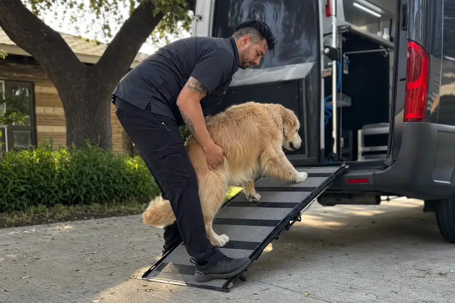 A San Antonio Senior-Dog Mobile Visit, Step by Step