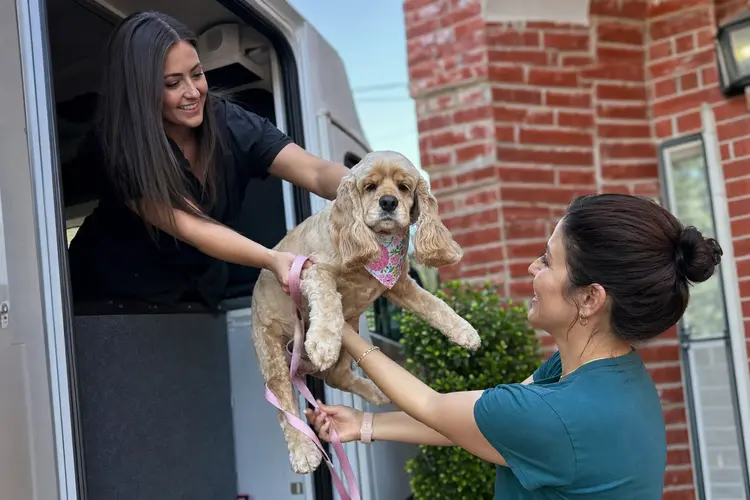 Kontota groomers greeting a small dog at the door of the mobile grooming van