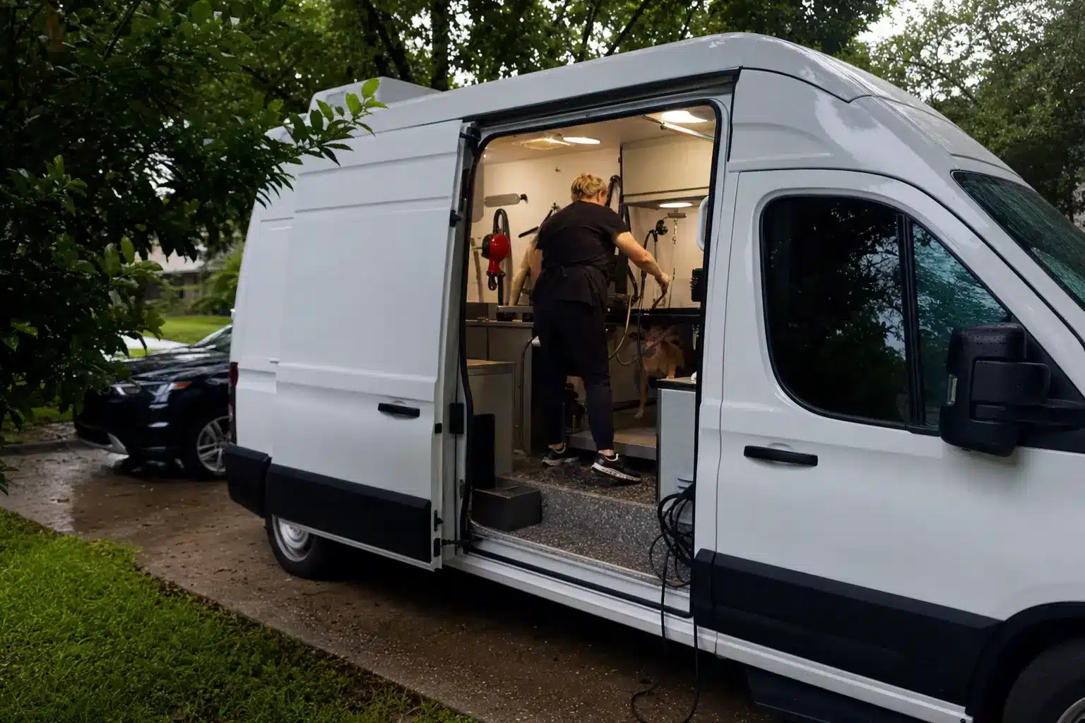 Mobile Dog Grooming houston