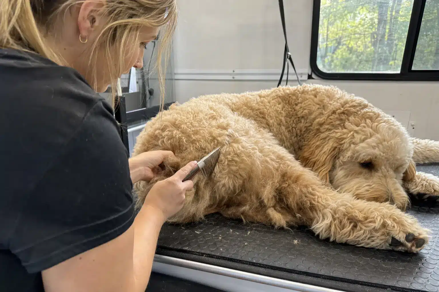 Mobile Groomer's Brush-Out Playbook