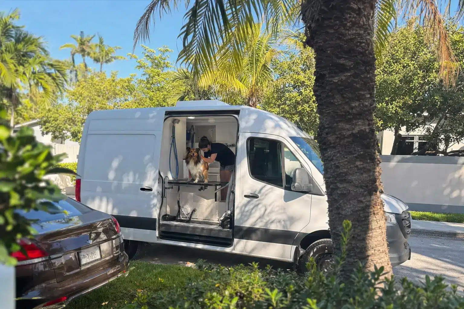 mobile dog grooming miami