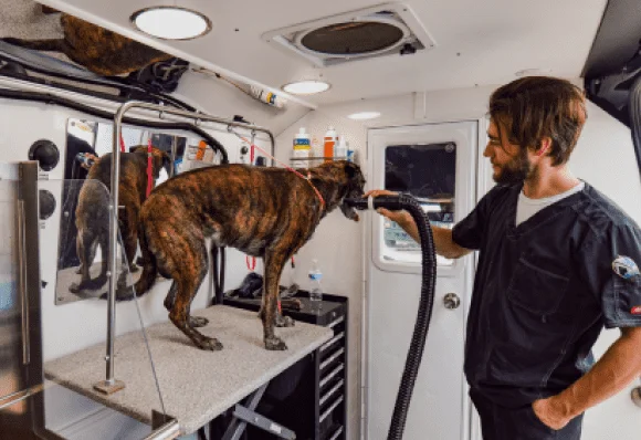 Mobile Dog Groomer
