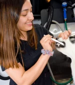Dog Teeth Cleaning in Kontota